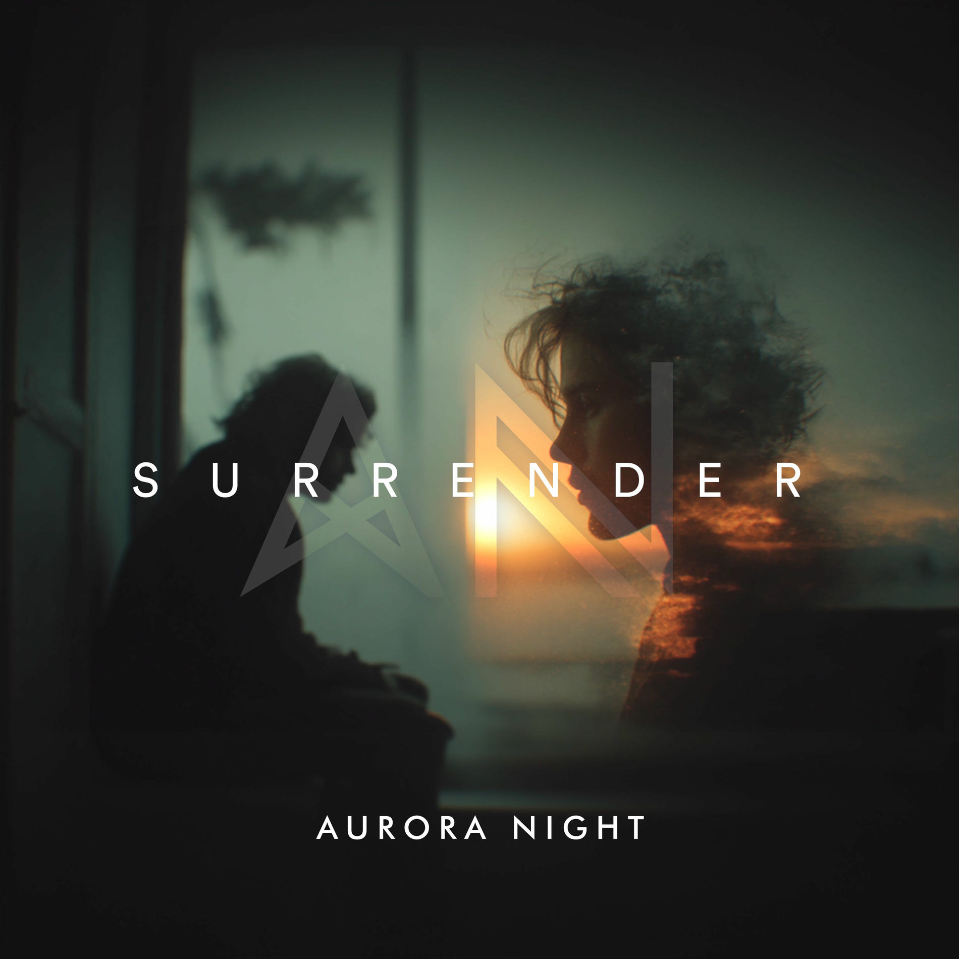 Album cover of Surrender