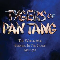 Cover of The Wreck-Age / Burning In The Shade 1985-1987