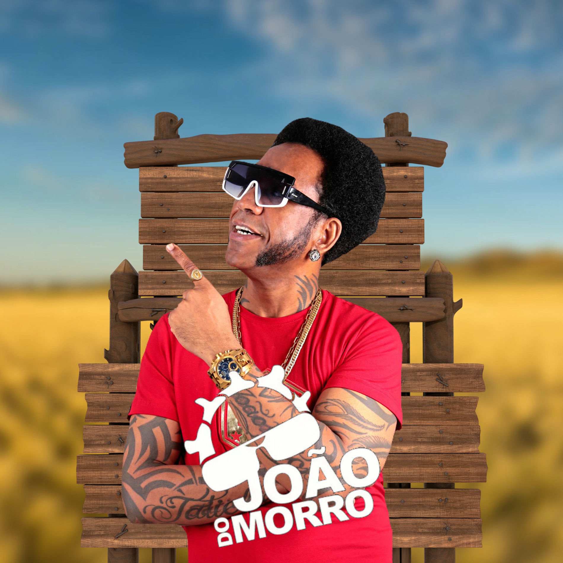 Album cover of Eu Não Nasci Gay