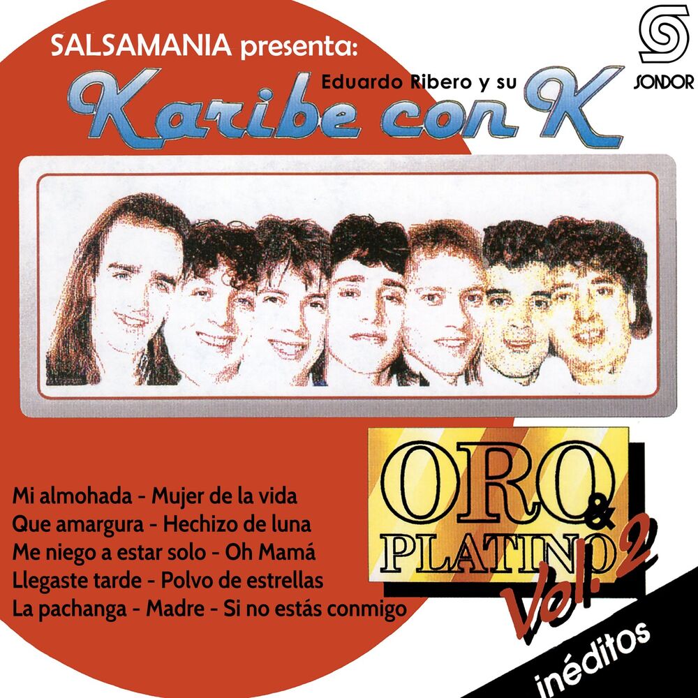 Picture of Oro & Platino, Vol.2