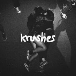 Cover of Flip Club