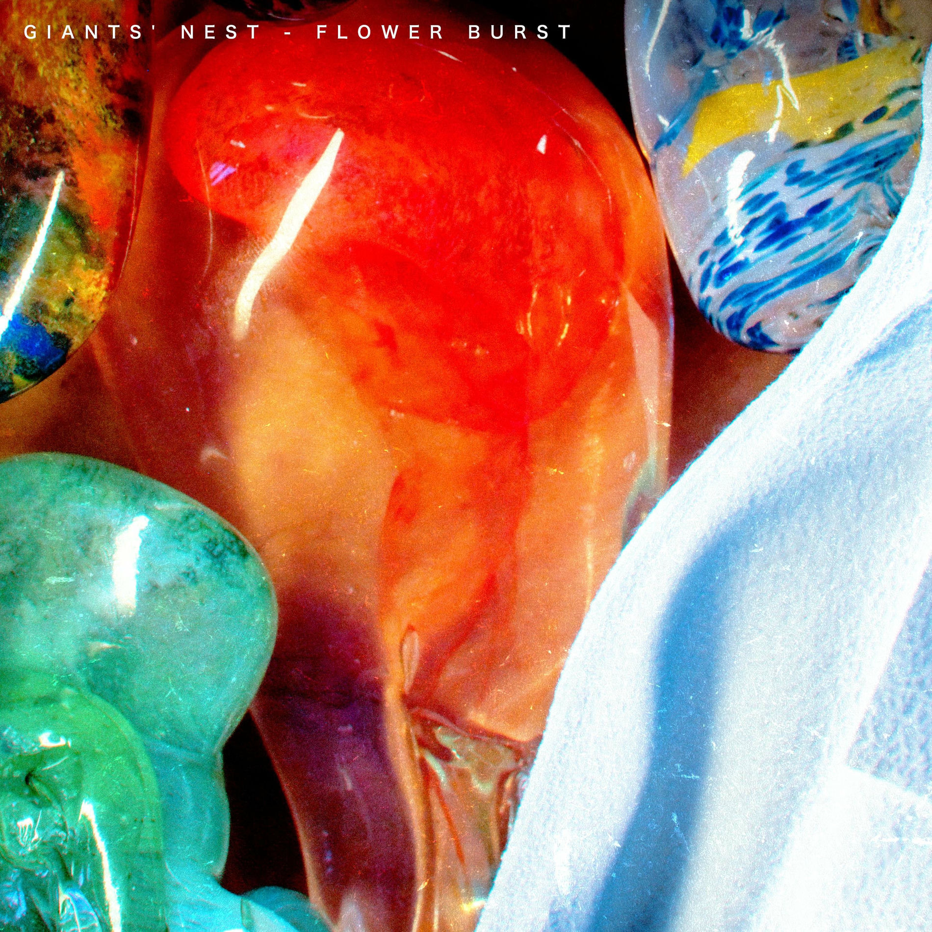 Album cover of Flower Burst