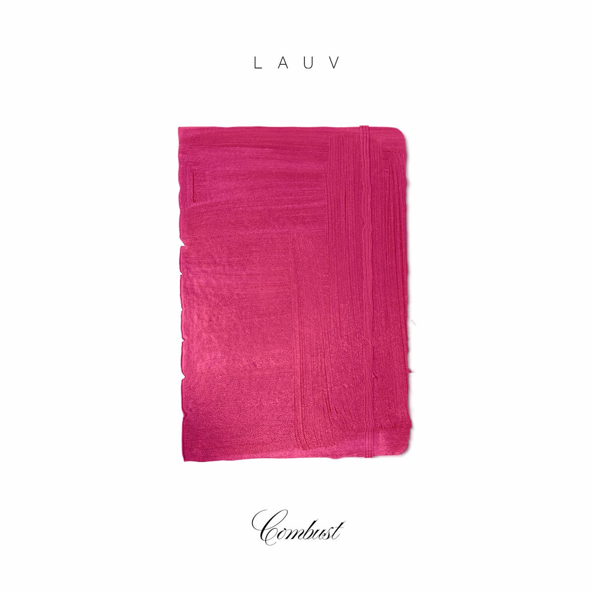 Album cover of Combust