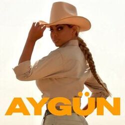 Cover of AYGÜN