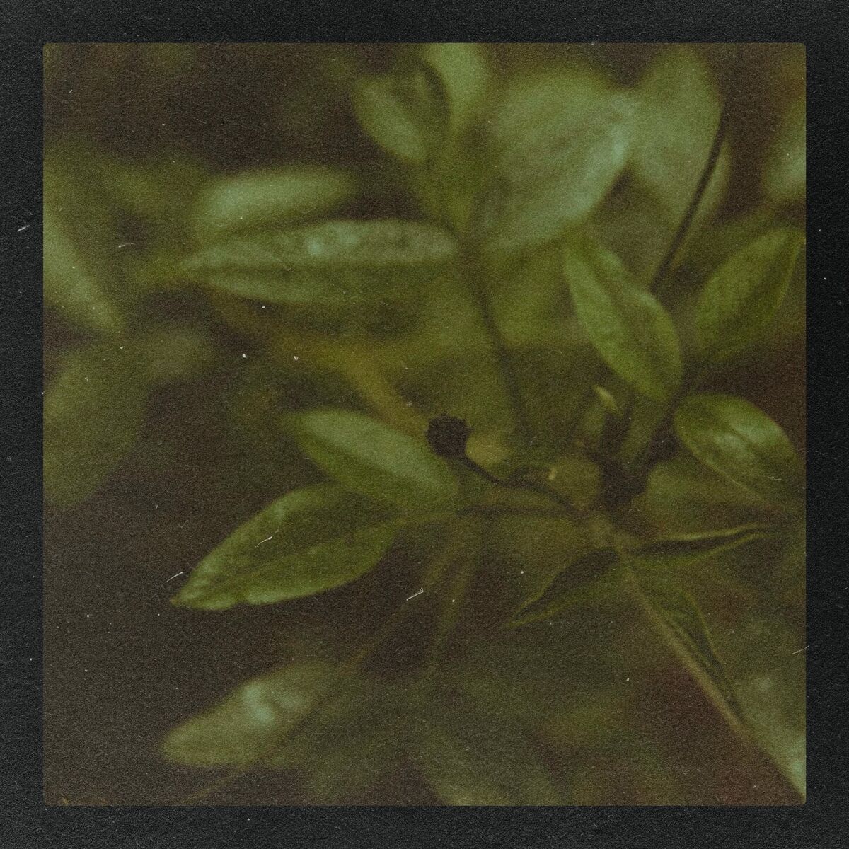 Album cover of Try Again