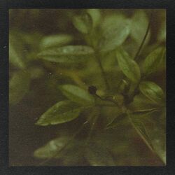 Cover of Try Again