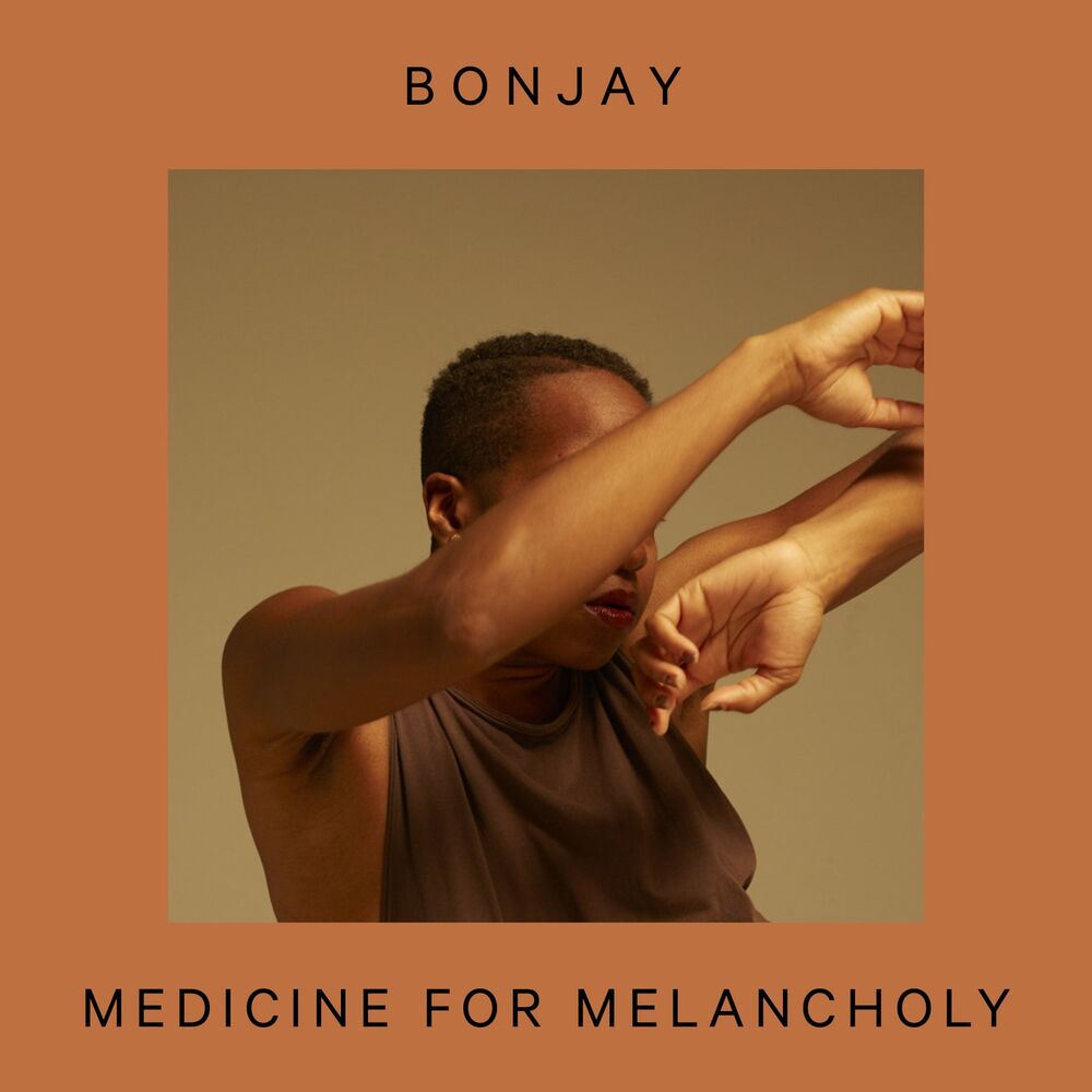 Picture of Medicine for Melancholy