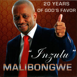 Cover of Inzulu (20 Years Of God's Favor)