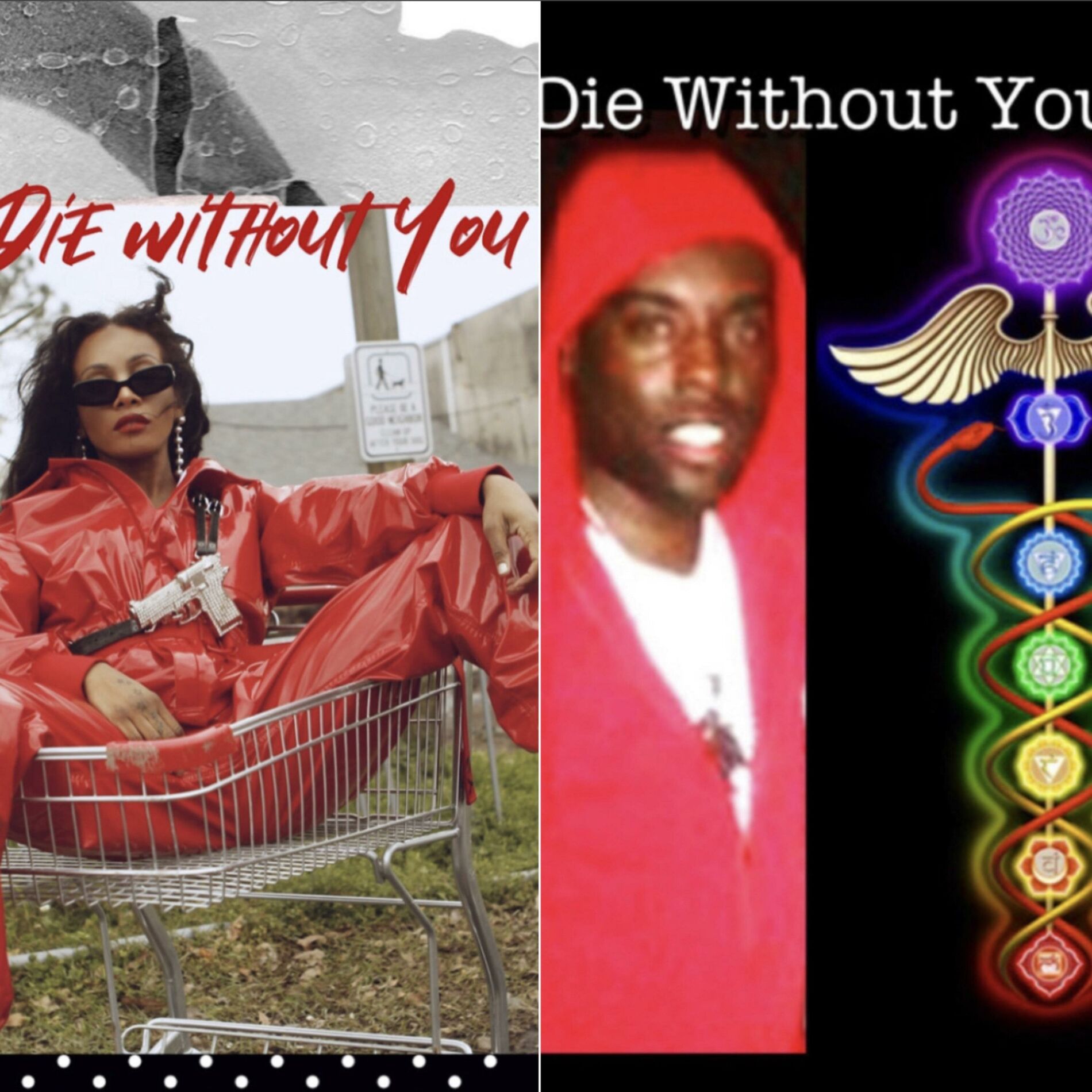 Album cover of DIE WITHOUT YOU (ACAPELLA)