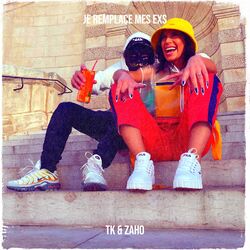 Cover of Je remplace mes exs