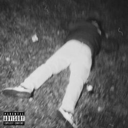 Cover of FVCKING PRXBLEMS