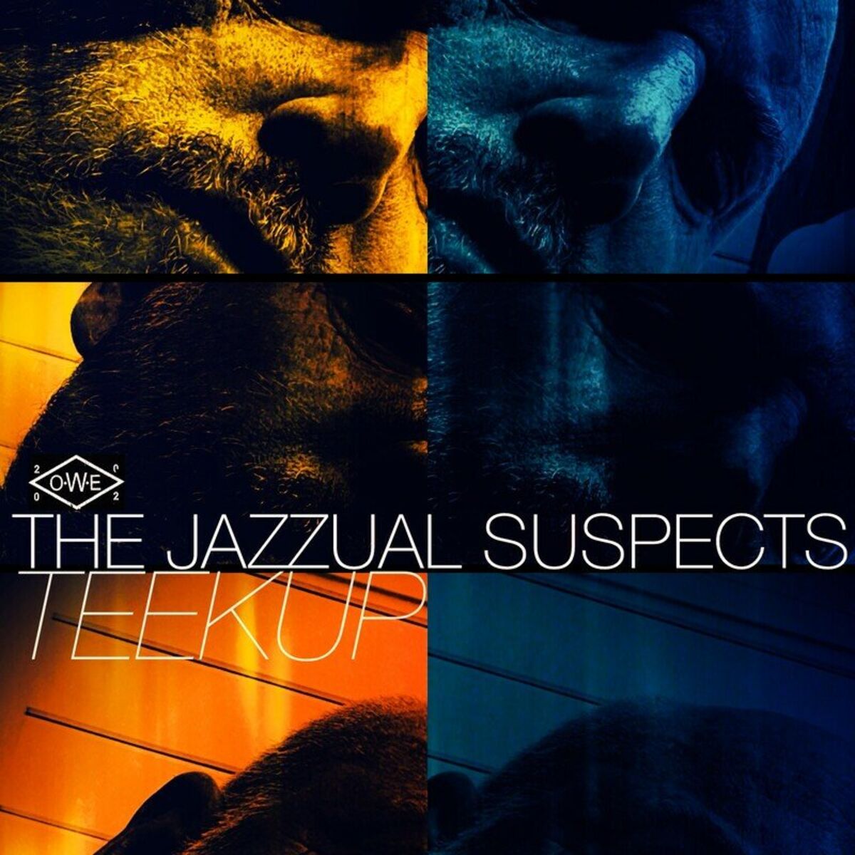 Album cover of Teekup