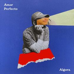 Cover of Amor perfecto
