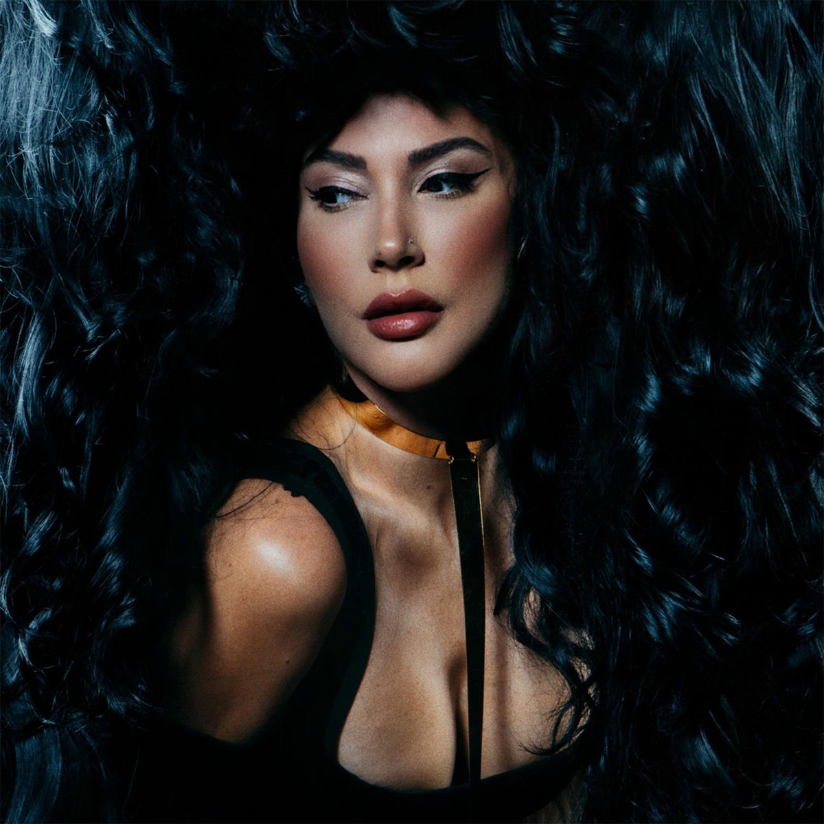 Album cover of Kibir (Remix)