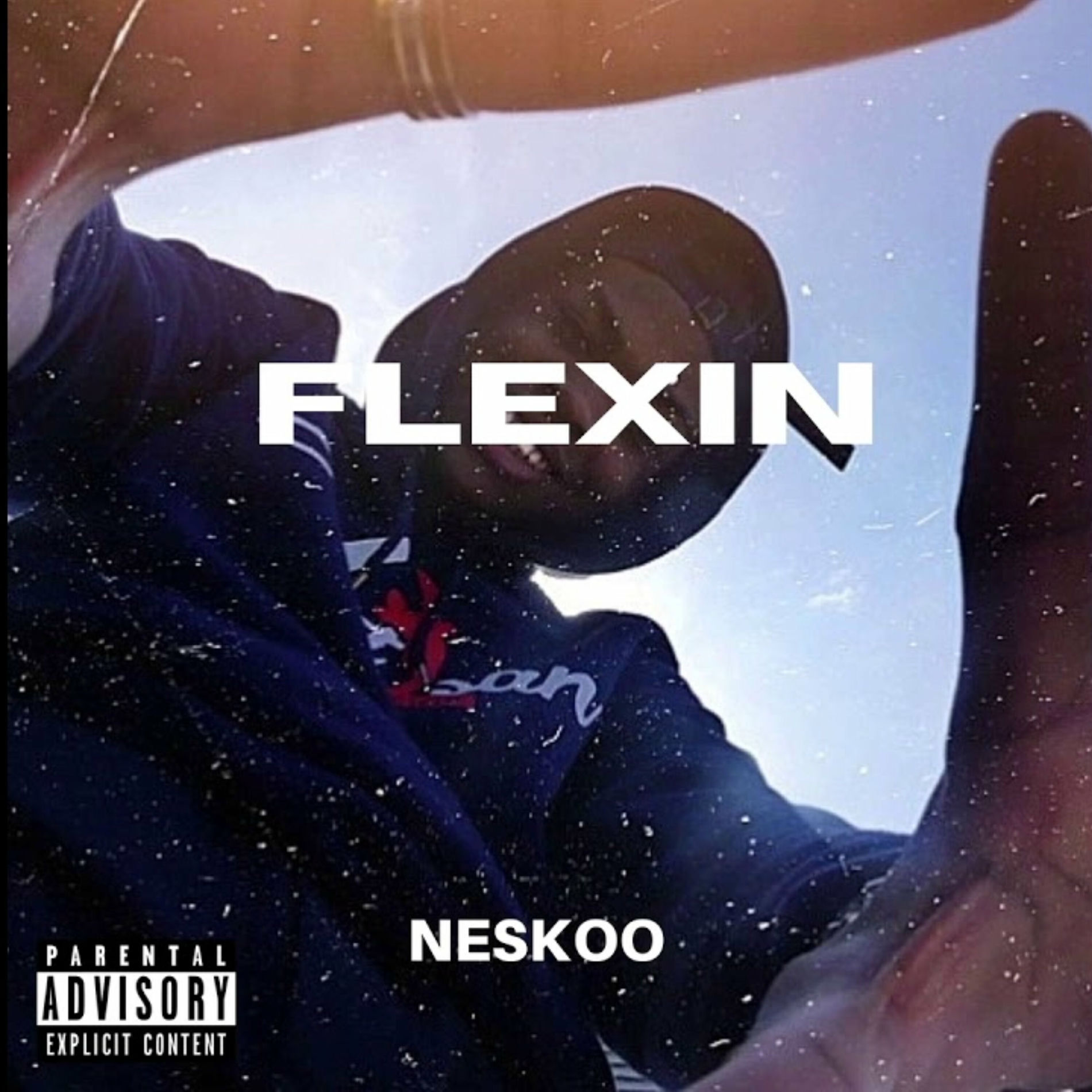 Album cover of FLEXIN (Je suis flex)