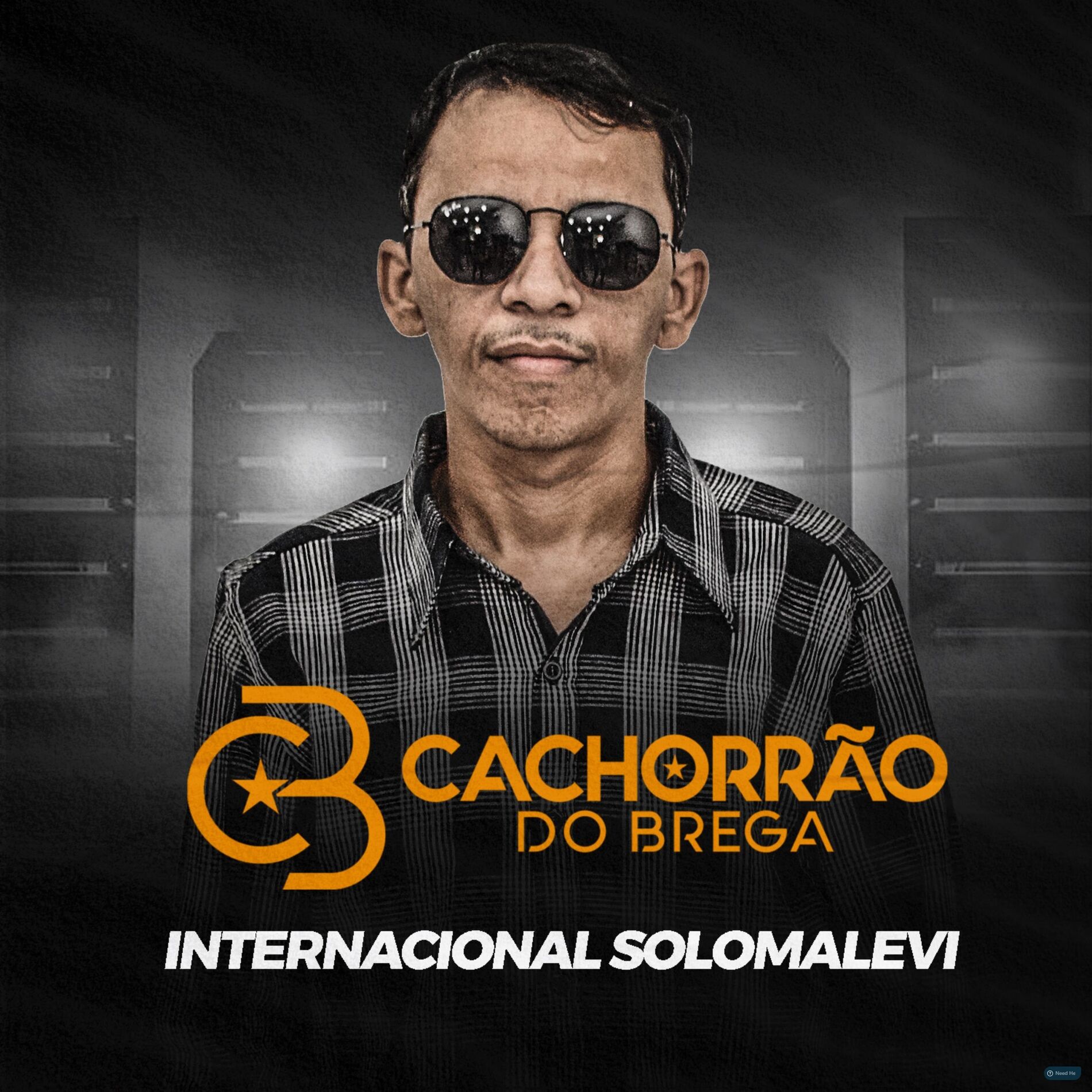 Album picture of Internacional Solomalevi (Ao Vivo)