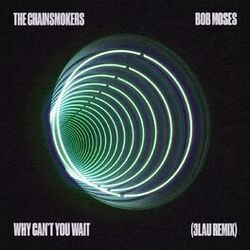 Cover of Why Can't You Wait (3LAU Remix)