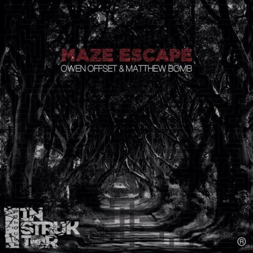 Picture of Maze Escape