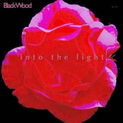 Into the Light
