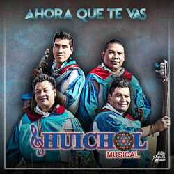 Cover of Ahora Que Te Vas