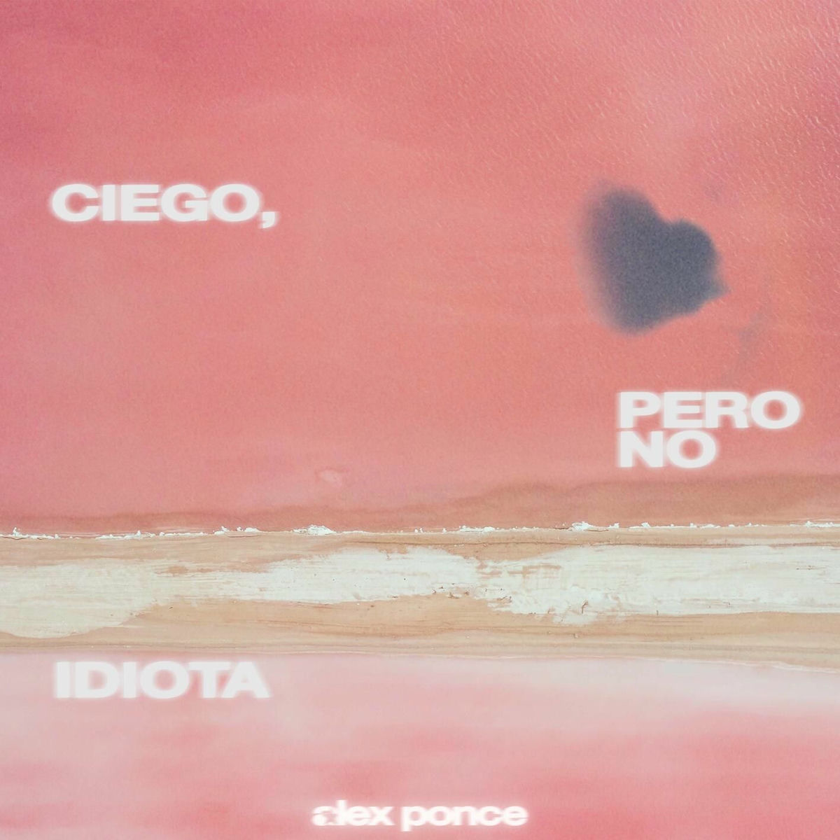Album cover of Ciego, Pero No Idiota