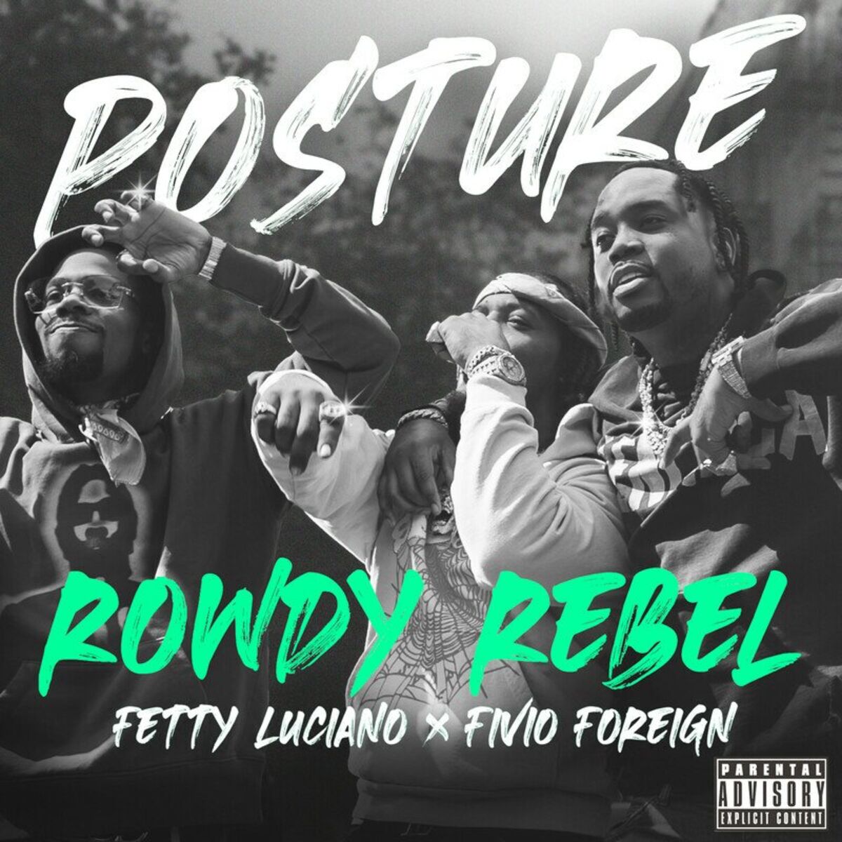 Album cover of Posture