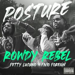 Cover of Posture