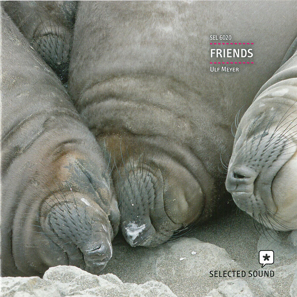 Picture of Friends