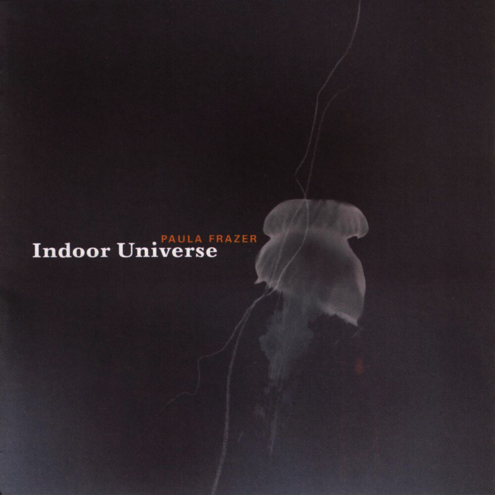 Picture of Indoor Universe