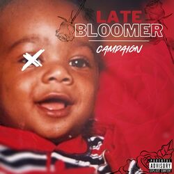 Cover of Late Bloomer