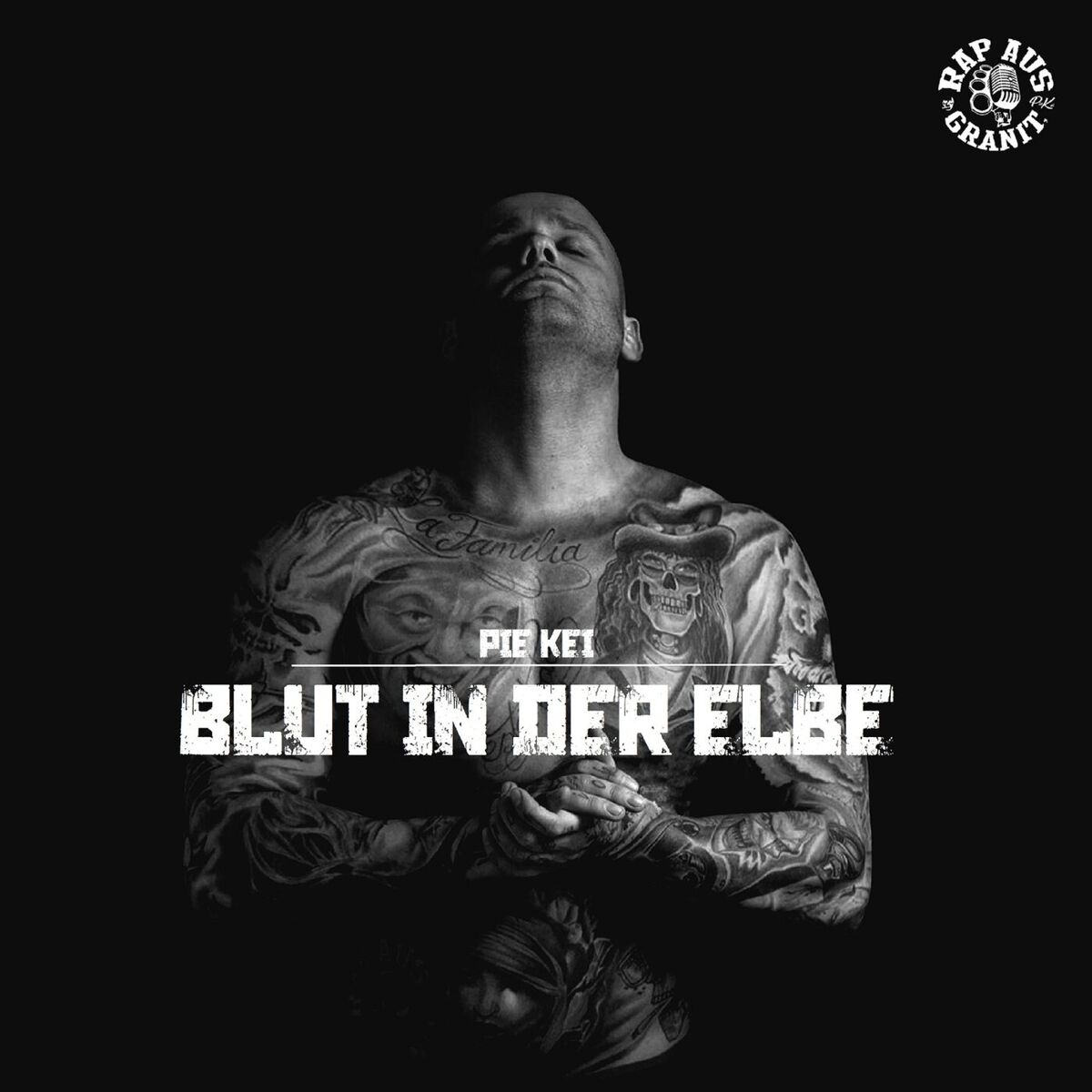 Album cover of Blut in der Elbe