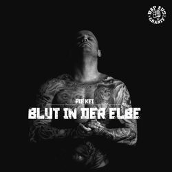 Cover of Blut in der Elbe