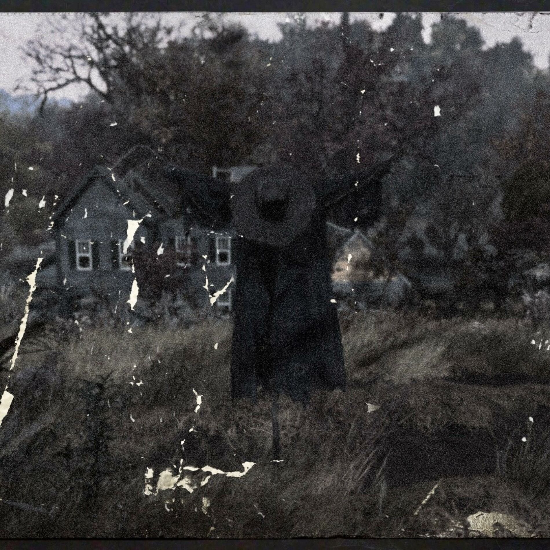 Album cover of Lonely Offer