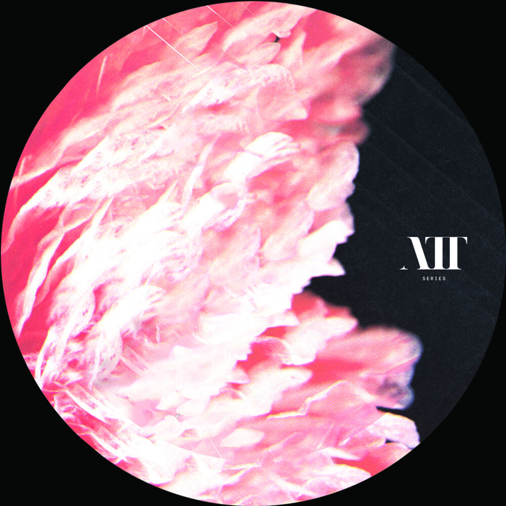 Picture of The Anatomy Of Thought Ep