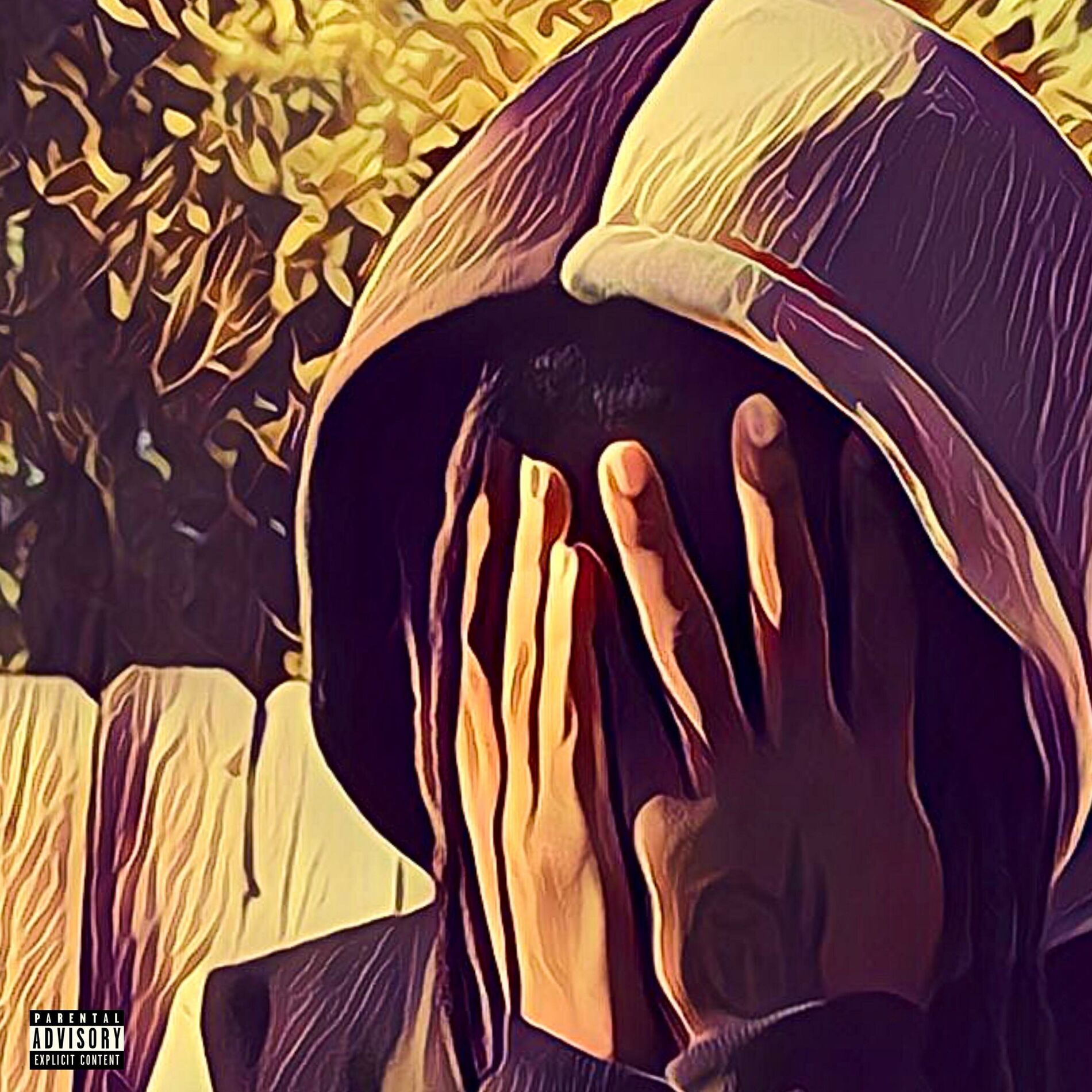Album cover of THE HIDDEN FACE
