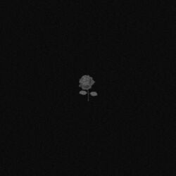music cover