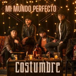Cover of Mi Mundo Perfecto