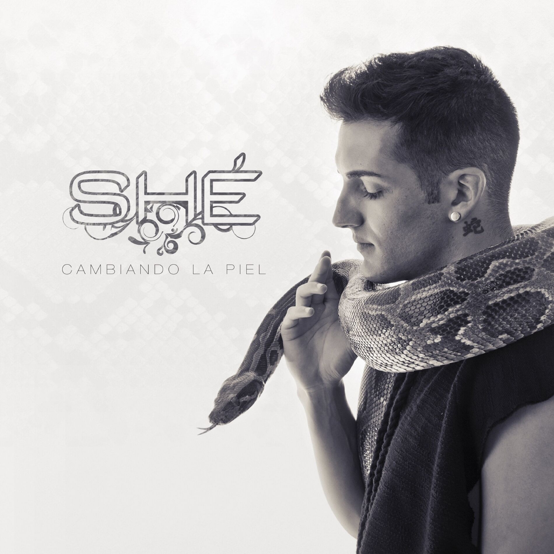 Album cover of Cambiando la Piel