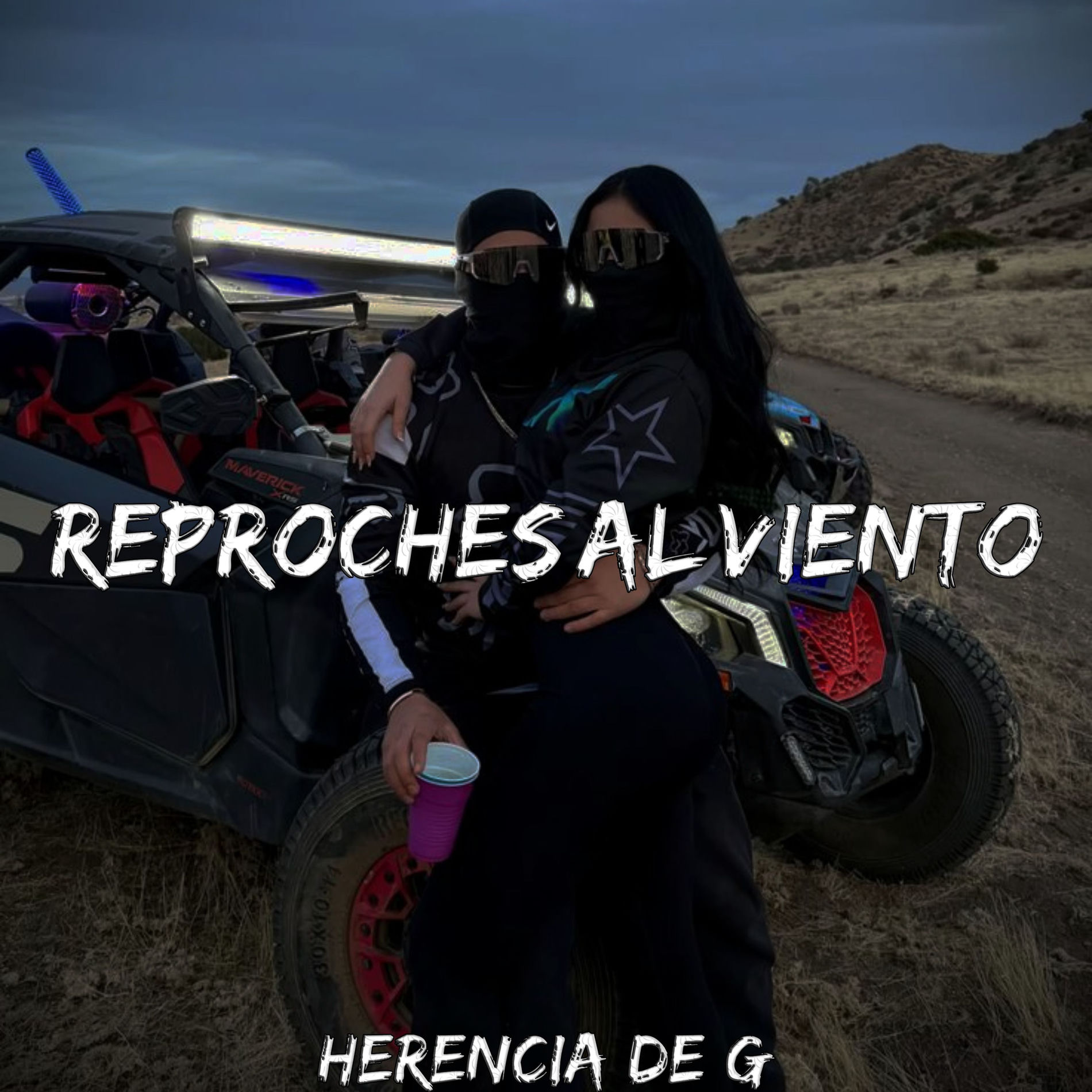 Album cover of Reproches al Viento