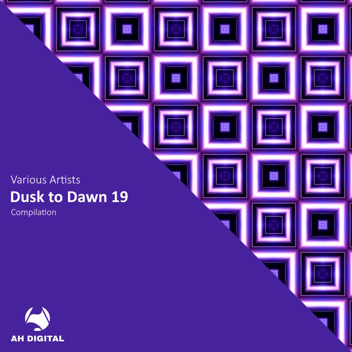 Album cover of Dusk to Dawn 19