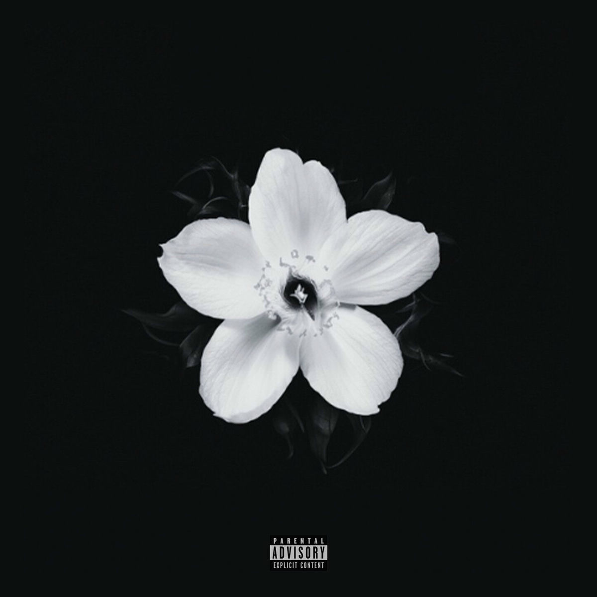 Album cover of NO SURRENDER