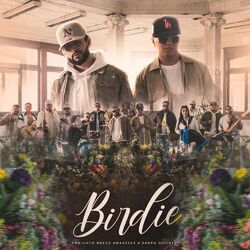 Cover of Birdie
