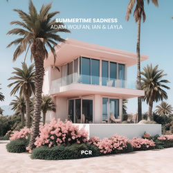 Descargar Summertime Sadness (Ian & Layla Remix) - Adam Wolfan MP3