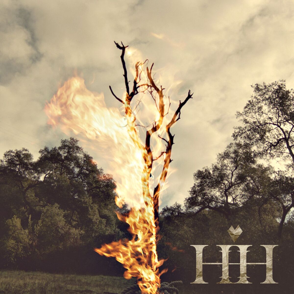 Album cover of Heart Heart Head