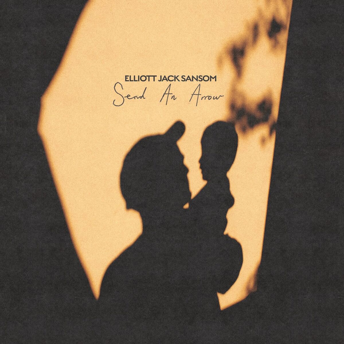 Album cover of Send An Arrow