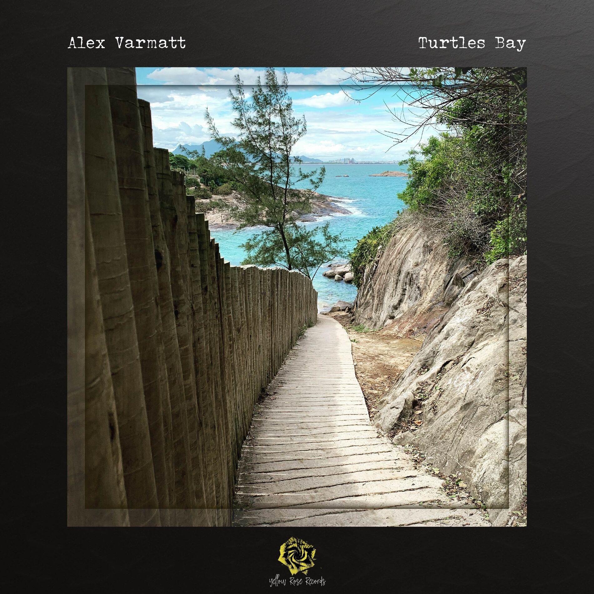 Album cover of Turtles Bay