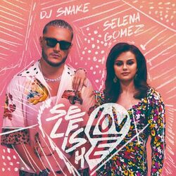 Cover of Selfish Love