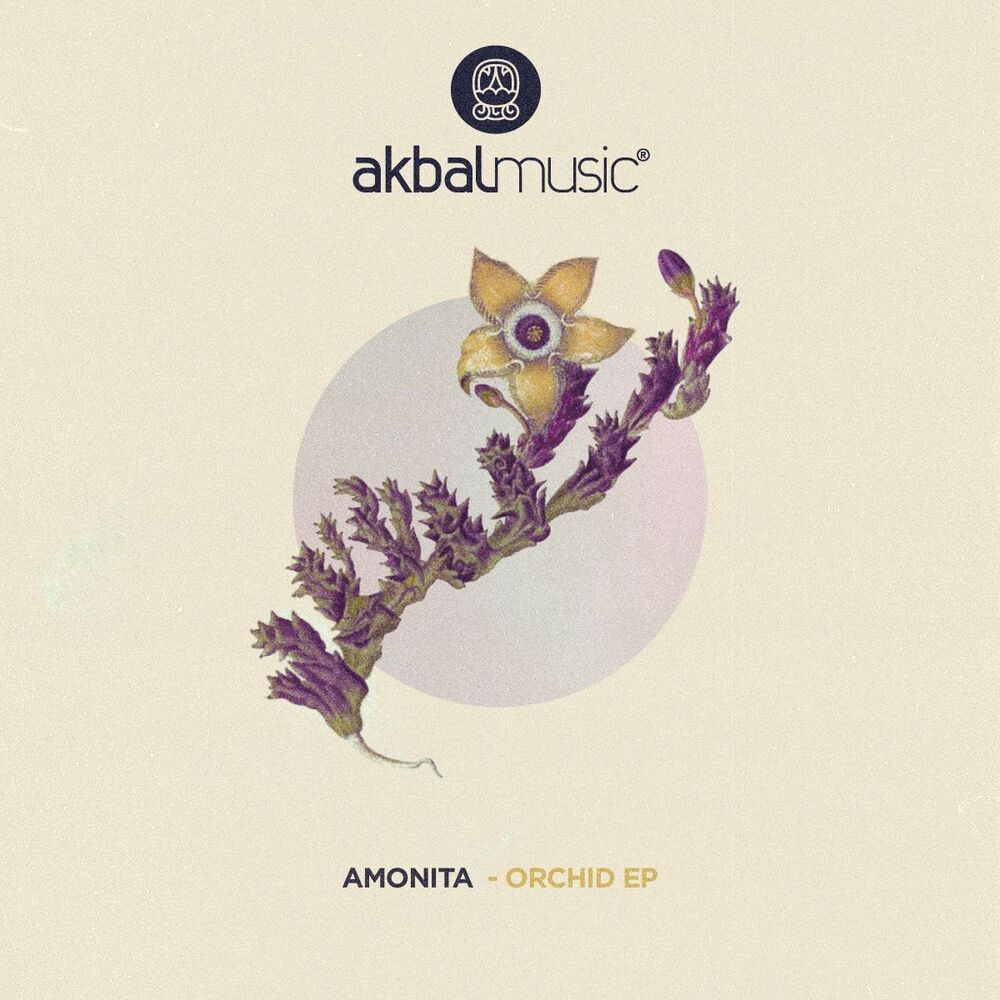 Picture of Orchid EP