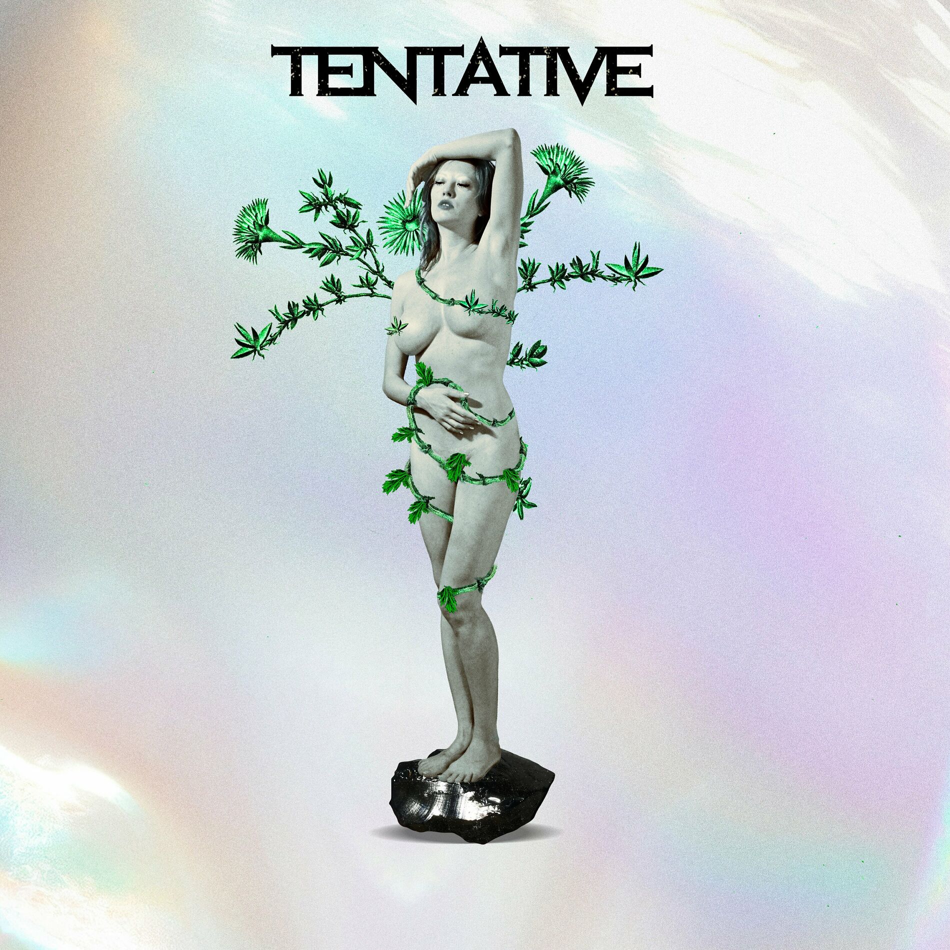 Album cover of Statue moi
