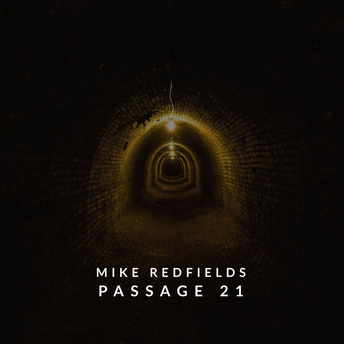 Album cover of Passage 21